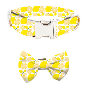 Usb LED mascota luz up seguridad pellizco <span class=keywords><strong>collar</strong></span> perro arnés suave noche brillo recargable con etiqueta de aire - Product Image 2