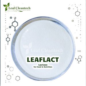 ผงเอนไซม์แลกเตสสำหรับอาหารโภชนาการจากอินเดีย Karnataka - Product Image 1