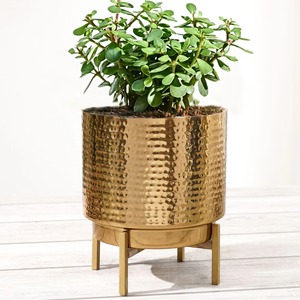 2026 New Design MTK Eco-Friendly <b>Small</b> Iron Powder Coated Planter for Indoor Offices and Homes Flower <b>Pots</b> - Product Image 5