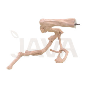 ไม้กาแฟธรรมชาติจากอินโดนีเซีย ยี่ห้อ Javawoood เป็นมิตรกับสิ่งแวดล้อม ทนทาน คุณภาพสูง ที่นั่งนกหลายกิ่ง ขนาด L - Product Image 1