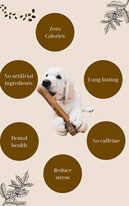 Café Natural madera masticar perro Limpieza de dientes mascota masticar juguete duradero mejor juguete para jugar contacto Sara + 84 797 415 298 - Product Image 6