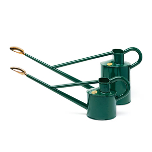 High Quality Eco-Friendly Green Galvanized Steel 8L Watering Can Metal Garden <b>Planter</b> Decorative Flower Pitcher Home Outdoor Use - Product Image 4