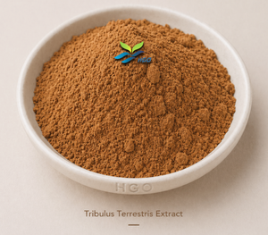 Suministro directo de fábrica HGO de extracto de Tribulus Terrestris natural puro (grado alimenticio saludable) Especificación 10:1 (extracto de proporción) - Product Image 1