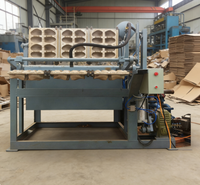 Fruitverpakkingsmachine van papierpulp voor appel- en mangoverpakkingen