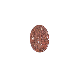 Pierre précieuse en os de dinosaure, 13,20 carats, 23x15mm, forme ovale, pierre brute - Product Image 5