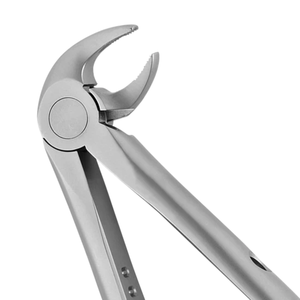 Juego de 13 Pinzas de Extracción Atraumática para Premolares Inferiores, Instrumento Quirúrgico Dental de Acero Inoxidable para Extracción de Dientes - Product Image 5