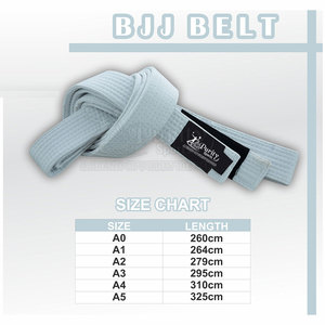 Ceinture d'arts martiaux à prix de gros, conception personnalisée, service OEM - Product Image 6