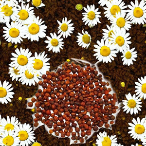 สารสกัดจาก CO2พืช jyotishmati - Product Image 3