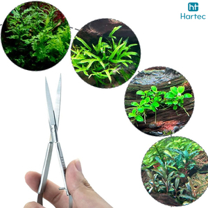 Nouvelles Ciseaux de Précision Micro Tendance à Pointe Fine, en Acier Inoxydable Courbé pour Droitiers, 4,5 Pouces, Ciseaux à Cuticules Manucure à Ressort - Product Image 4
