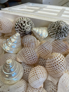 Rustic Handmade Durable Seashell Serving Tray Basket with Colorful Natural Sea Shells Assorted Crafts Christmas Ocean Gifts - Product Image 2