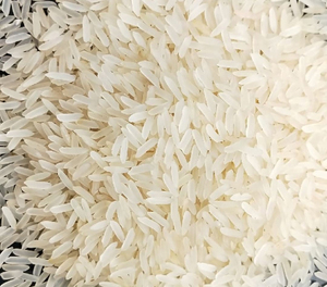 ข้าวหักเกรดพรีเมียมคุณภาพดีที่สุด ขายส่งจำนวนมาก พร้อมส่ง บริการ OEM ผู้ผลิตส่งออก - Product Image 3