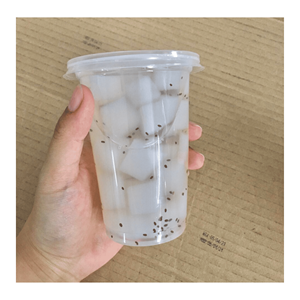 Nata de coco elaborada con cubos de gelatina de agua de coco para aderezar bebidas, recetas de postres y preparación de bebidas, Vietnam - Product Image 5
