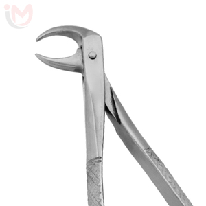 Forceps d'extraction dentaire chirurgical ergonomique manuel pour les premiers molaires IMANS - Product Image 2