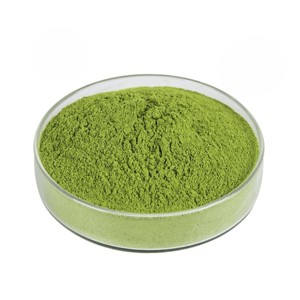 Poudre de feuilles de Qasil 100% pure OEM/ODM, poudre naturelle de Ziziphus Mauritiana pour le lavage du visage, les masques faciaux et les soins du cuir chevelu - Product Image 1