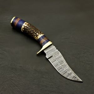 มีดครัวเหล็กดามัสกัสทำมือ ใบมีดแบบ Fixed Blade ด้ามไม้ พร้อมปลอกหนังสำหรับพกพาในชีวิตประจำวัน DIY - Product Image 4