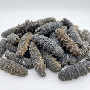 Pepino de Mar Negro de Alta Pureza / 98% Seco para Larga Duración, Suministro a Granel, Calidad de Exportación, Grado Mariscos - Product Image 6