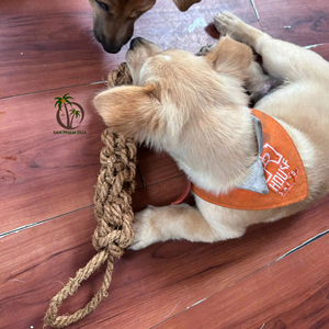 ของเล่นเคี้ยวสำหรับสัตว์เลี้ยงทำจากใยมะพร้าว ปลอดสารพิษ ปลอดภัย จากผู้ผลิตโดยตรง / ของเล่นใยมะพร้าวธรรมชาติคุณภาพสูง ปลอดภัยต่อสัตว์เลี้ยง - Product Image 1