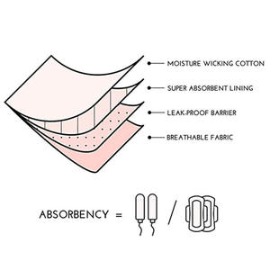 Shanhao OEM Ropa Interior Menstrual Tipo Tanga de Algodón Orgánico Sostenible, de Cintura Baja, a Prueba de Fugas, Ecológica y Antibacteriana para Mujer - Product Image 5