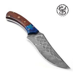 Cuchillo de caza para acampar al aire libre, nuevo estilo, con mango de madera, con Funda de cuero - Product Image 5