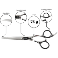 Ciseaux de coiffure professionnels de haute qualité à prix d'usine OEM, poignée intelligente, pour droitiers, manche long, en acier inoxydable 4Cr13