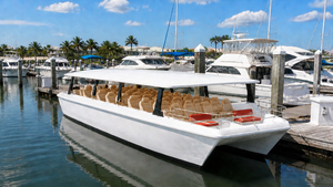 UBI 918 Catamaran de luxe personnalisé en fibre de verre soudée pour 18 passagers, taxi fluvial, ferry, yacht, 300 CV, télécommande, croisière sportive - Product Image 6