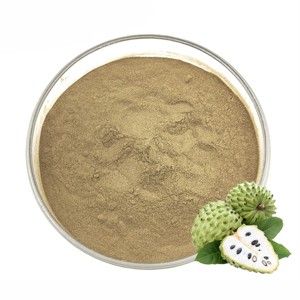 Poudre d'extrait de Noni soluble dans l'eau en vrac 10:1, qualité alimentaire, extrait naturel de fruit de Morinda Citrifolia pour boissons et smoothies - Product Image 5