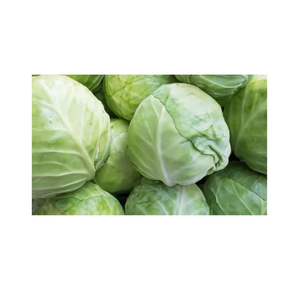 <b>Fresh</b> Cabbage Premium Quality Natural Farm <b>Fresh</b> Green Cabbage Food Grade <b>Vegetable</b> Ocean Link Exim Mesh Bags Bulk Supply - Product Image 3