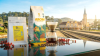 Café en Grains V60 Premium 250g en Sachet Promotionnel, 100% Arabica Torréfaction Moyenne, Doux, Fruité, Légèrement Acidulé, Goût Propre, Fournisseur OEM
