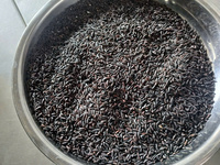 Riz long grain sec Jasmine AD du Vietnam, non-OGM, durée de conservation de 2 ans, 5% de brisures, vente en gros, en vrac, OEM, marque privée, usine IIGlobal