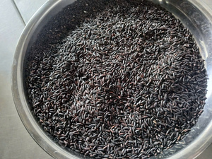 Arroz Jazmín Seco de Vietnam, Grano Largo, Sin OMG, 2 Años de Duración, Venta al Por Mayor, OEM, Marca Privada, Precio de Fábrica IIGlobal - Product Image 3