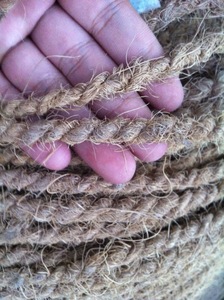 เชือกเส้นใหญ่มะพร้าวธรรมชาติจากเวียดนามสำหรับการเก็บเกี่ยวการผูกพืชรองรับการใช้ข้อมูลทองคำ99รายการ - Product Image 6