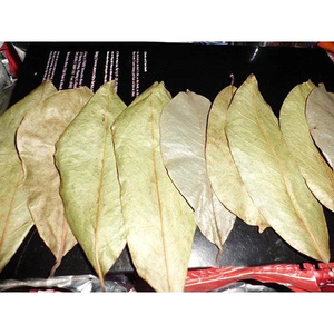 ใบเต้าเจียแห้งสำหรับชาสมุนไพร ราคาดีที่สุดจากเวียดนาม คุณภาพสูงและราคาดีที่สุดสำหรับผู้ค้าส่งในปี 2026 - Product Image 5