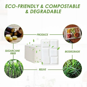 จานกระดาษสีขาวพรีเมียมแบบใช้แล้วทิ้ง รูปทรงกลม สำหรับงานวันเกิด งานแต่งงาน บุฟเฟ่ต์ ร้านอาหาร และใช้ในบ้าน - Product Image 5