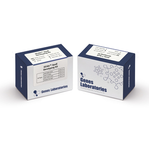 [Genes Lab] Kit de Génotypage GCdia ApoE, Génotypage des SNPs de l'Apolipoprotéine E, Kit de Test Diagnostique PCR en Temps Réel pour Sang Total - Product Image 2