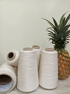 Fibra de hoja de piña ecológica para una vida sostenible y la moda - Product Image 2