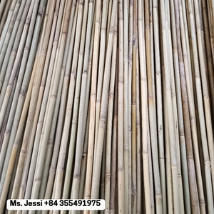 Rotin Manau de qualité export/Poteaux droits bruts et cannes pour les marques mondiales de meubles/Mme Jessi - Product Image 3