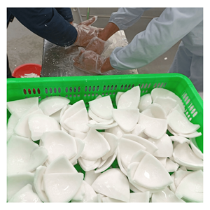 Noix de coco surgelée IQF, issue de chair de noix de coco de qualité supérieure, pour smoothies, garnitures et préparation de desserts, origine Vietnam. - Product Image 3