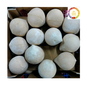 Noix de coco jeune et fraîche |   Coque entière |   Eau de coco naturelle |   Exportation en gros |   OEM Vietnam - Product Image 4