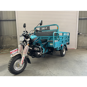 Triciclo <span class=keywords><strong>de</strong></span> Carga <span class=keywords><strong>Motorizado</strong></span> TIKING Reverse <span class=keywords><strong>de</strong></span> 175cc para Uso Agrícola y Utilitario, Suministro al por Mayor - Product Image 6