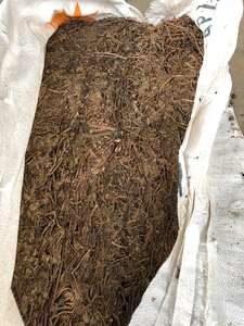 ใบหญ้าเจลลี่ดำอบแห้งแบบออร์แกนิก ความชื้นต่ำ เมโซนา ชิเนนซิส สำหรับส่งออกจำนวนมาก - Product Image 6