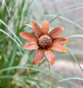 Escultura de arte popular oxidado personalizada, decoración de jardín al aire libre de bajo precio, estaca de animales de Metal oxidado, adornos de jardín antiguos - Product Image 6