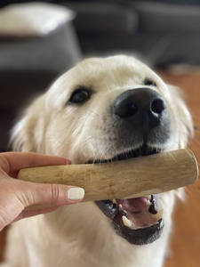Bâton à mâcher pour chien en bois de café écologique vietnamien - Durable, sûr, naturel, jouet de nettoyage des dents et d'exercice longue durée pour chiens - Product Image 3