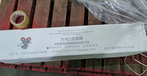 Aleta de Pangasius Congelada 20-40g 40-60g, Aleta de Pescado Basa de Vietnam para Hotpot de Pescado a la Parrilla, Caja de 10kg - Product Image 5