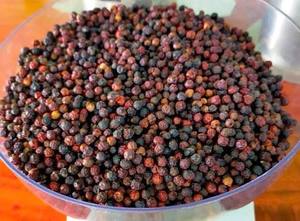 Pimienta Negra Vietnamita Natural, Granos de Pimienta Secos Enteros, Especia Premium, Venta al por Mayor para Procesamiento de Alimentos - Product Image 4