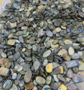 พลอยลาบราดอไรต์ธรรมชาติคุณภาพสูง หลายสี หลายรูปทรง เรียบเนียน ขนาดคละแบบ น้ำหนัก 5 กก. สำหรับทำเครื่องประดับ ขายส่ง พลอยทับทิม - Product Image 3