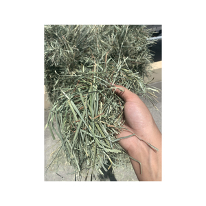 High Quality Alfalfa Hay <b>Pellets</b> & Bales for Horse Cattle Pig-<b>Feed</b> Grade - Product Image 6