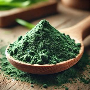 WARRLY Poudre de Spiruline Superalimentaire Premium 99% Qualité Alimentaire Extrait Naturel d'Herbes Conditionnement en Bouteille et en Fût Fabricant Exportateur en Gros - Product Image 3