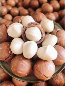 Nueces de Macadamia Tostadas con Cáscara a Precio de Mayoreo, Fabricante OEM en Vietnam - Product Image 3