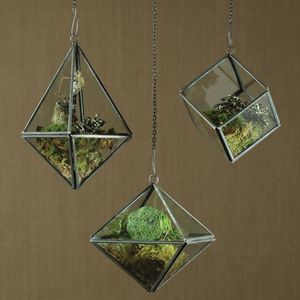 Terrario geométrico de vidrio de gran tamaño, planta de aire, Terrario de vidrio en venta - Product Image 5