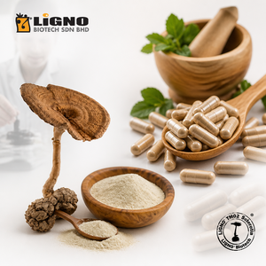 ผงเห็ดนมเสือ LiGNO TM02 บำรุงผิวสวยเปล่งประกาย ส่วนผสมที่มีประสิทธิภาพ รับผลิตแบบ OEM ODM - Product Image 1